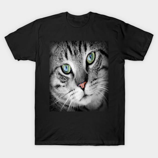 Maine Coon Cat Full Face Close Up Pretty Feline Pet T-Shirt by familycuteycom